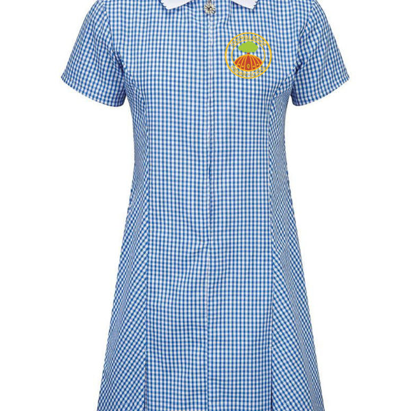Gingham Dress – schooluniformsolutions